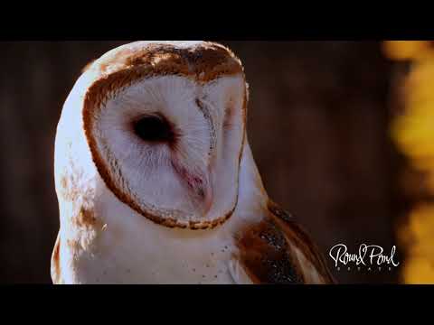 Sustainability at Round Pond Estate