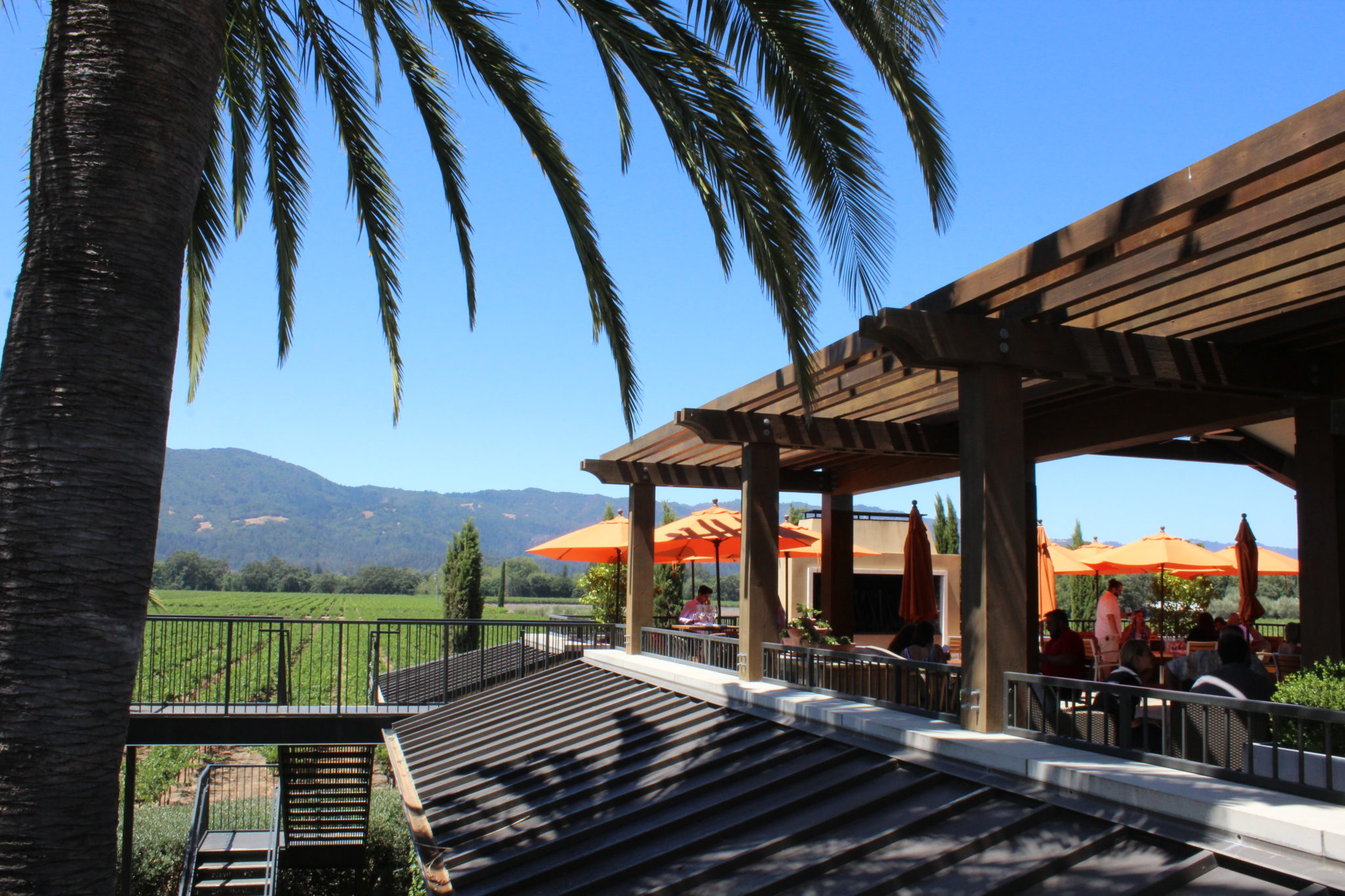 Outdoor dining area with scenic vineyard views and orange umbrellas.