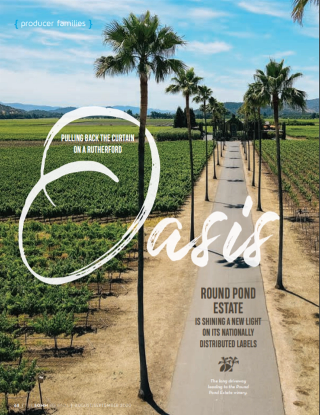 Aerial view of Round Pond Estate vineyard featuring palm trees, a pathway, and lush grapevines under a blue sky.