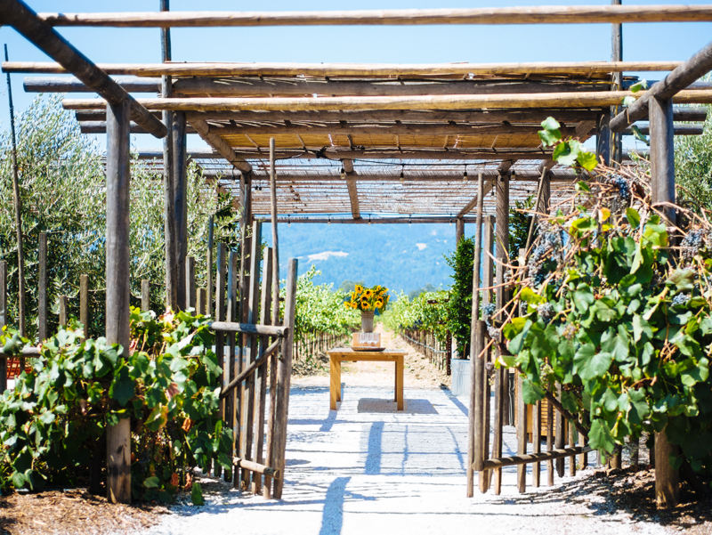 Vineyard entrance with wooden gate and trellis, overlooking lush grapevines and distant mountains in Napa Valley.