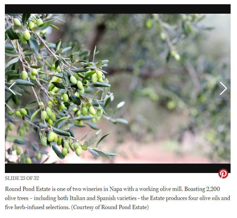 Olive trees at Round Pond Estate in Napa, featuring Italian and Spanish varieties, producing olive oils and infused selection.