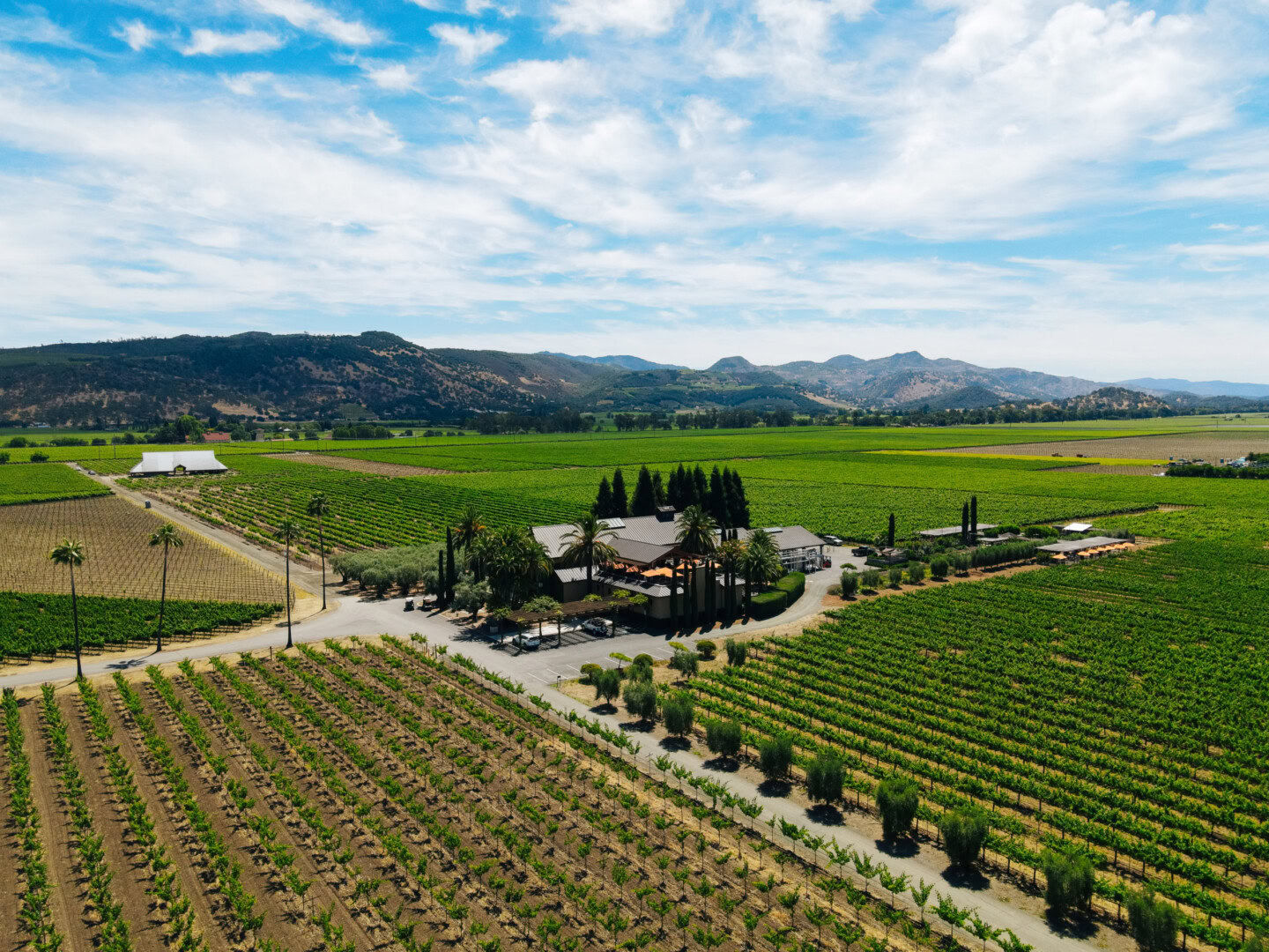 Aerial view of lush vineyards at Round Pond Estate with rolling hills and mountains in the background.