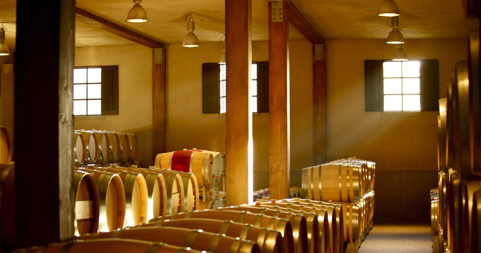 Winery barrel room with sunlight streaming in