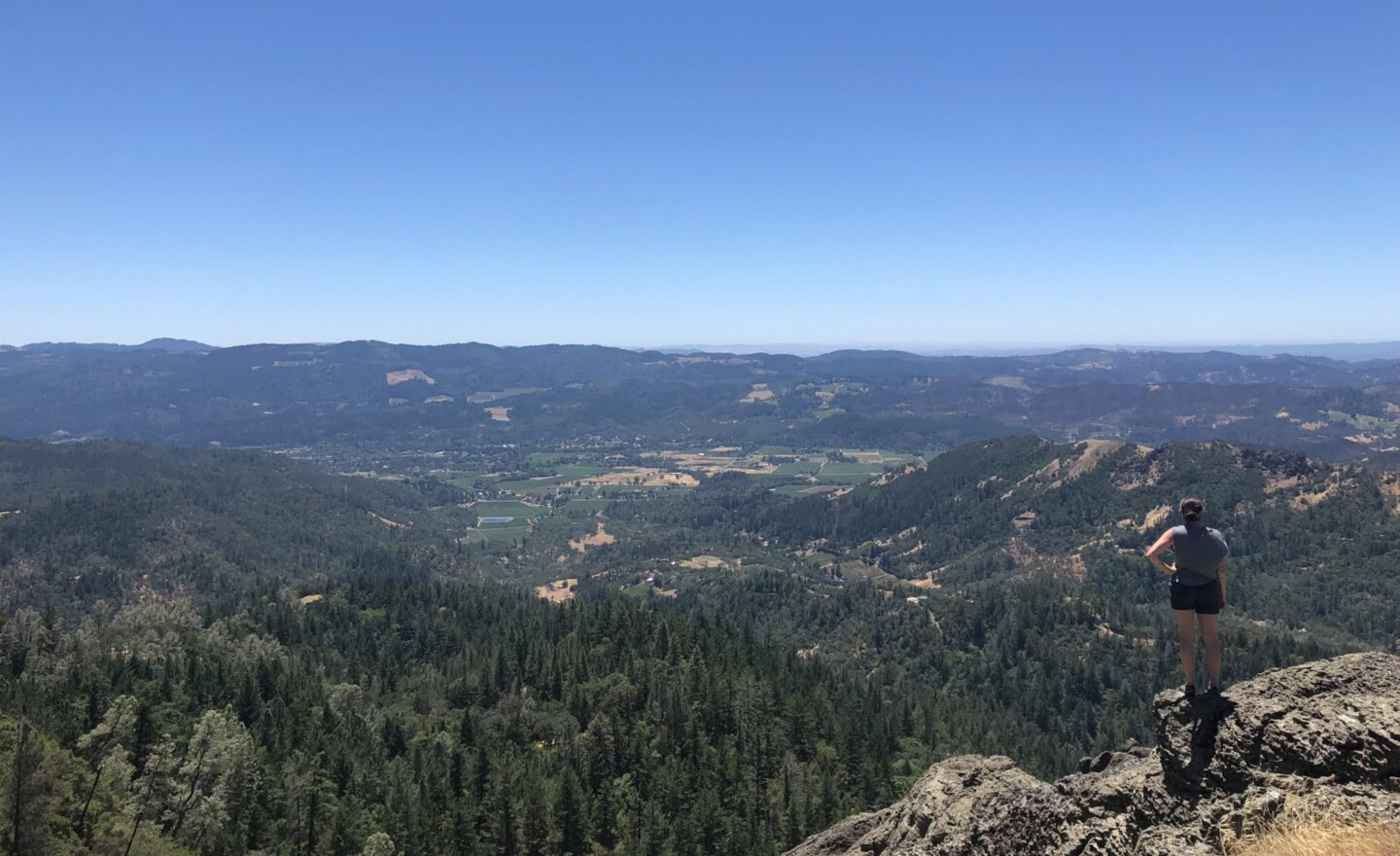 Breathtaking view of Napa Valley from a hilltop at Round Pond Estate, with lush vineyards and rolling hills under a clear blu.