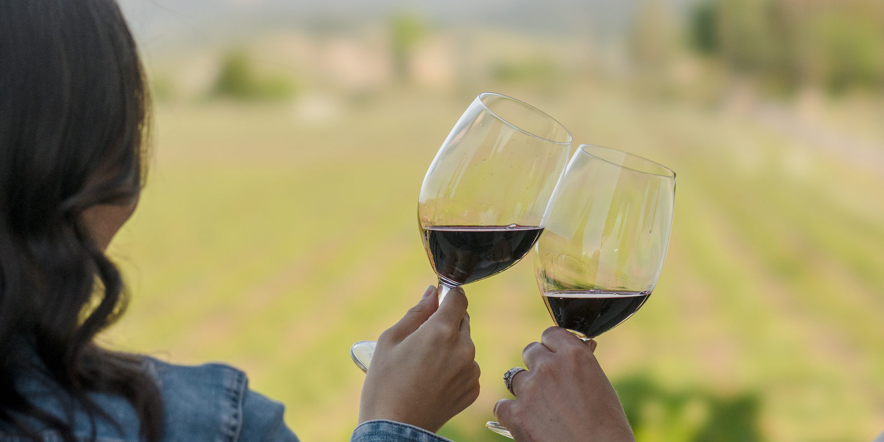 how-to-taste1 Two women cheersing their glasses of red wine together overlooking the vineyard