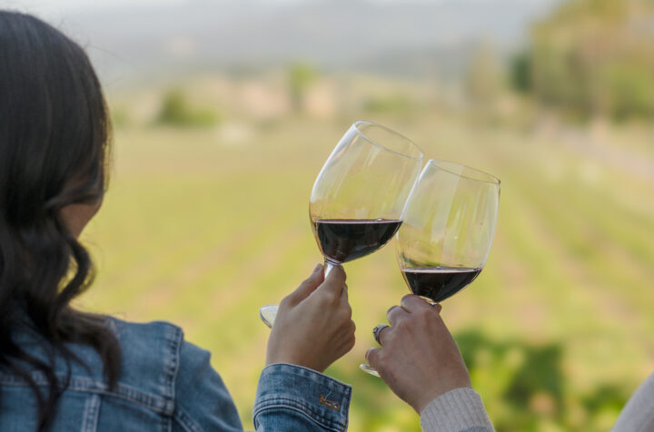 Two women cheersing their glasses of red wine together overlooking the vineyard