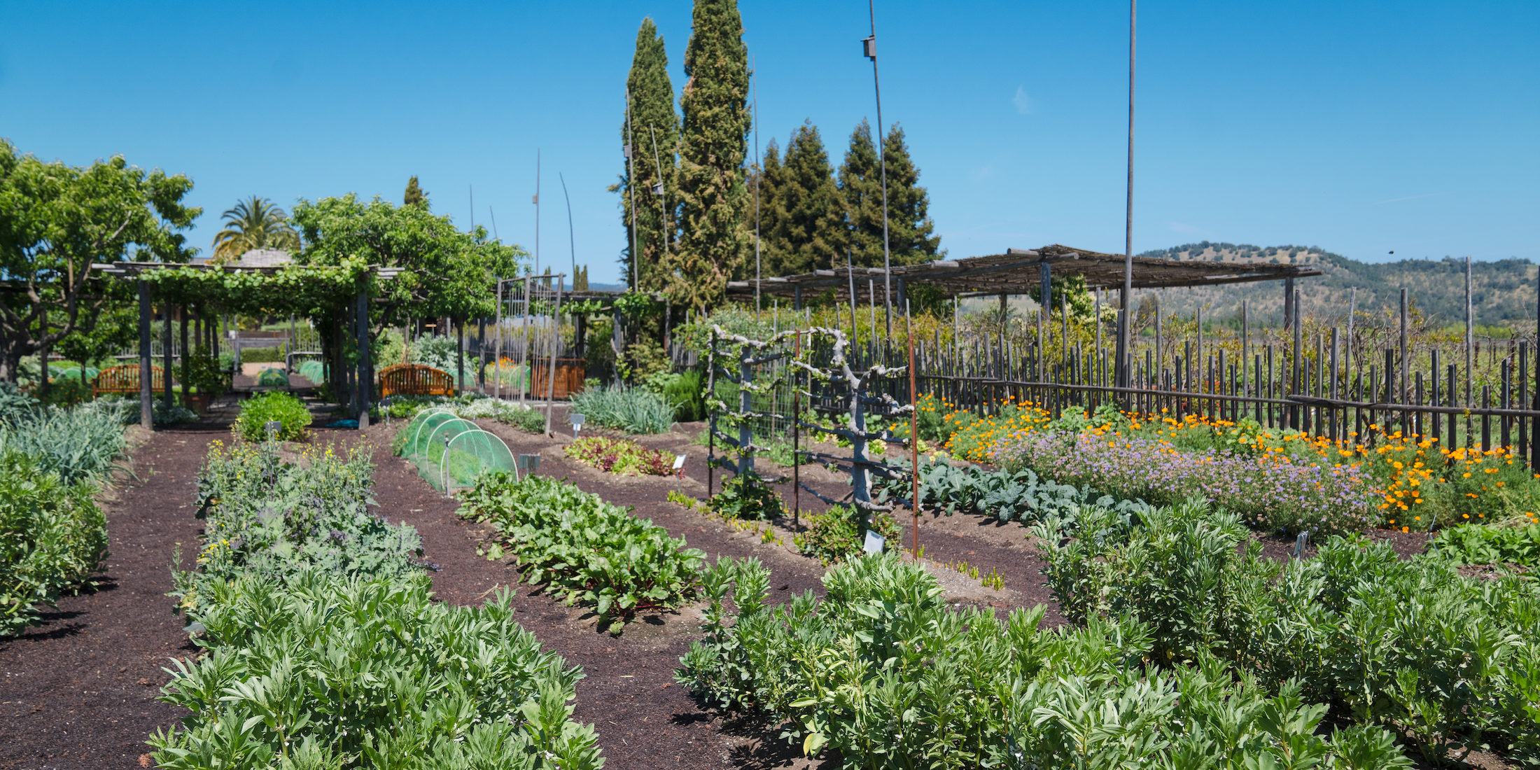 Round Pond Estate Culinary Garden