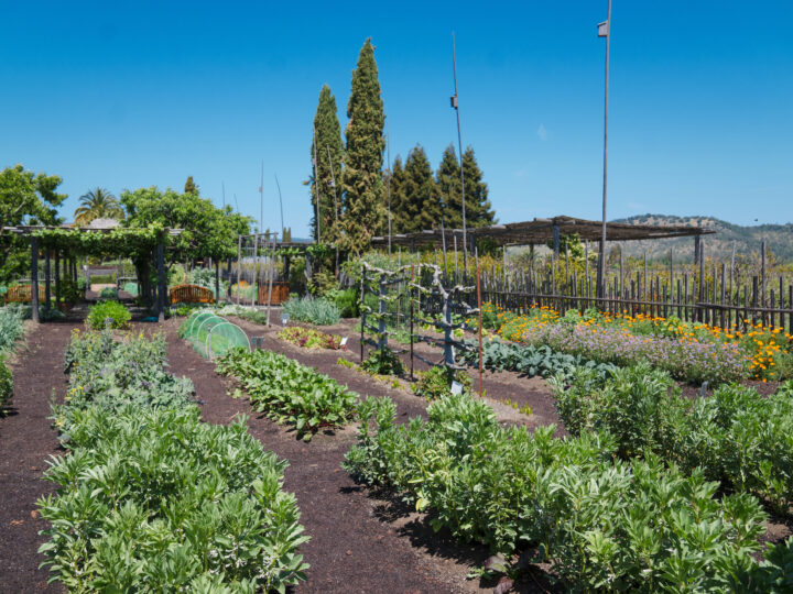 Round Pond Estate Culinary Garden