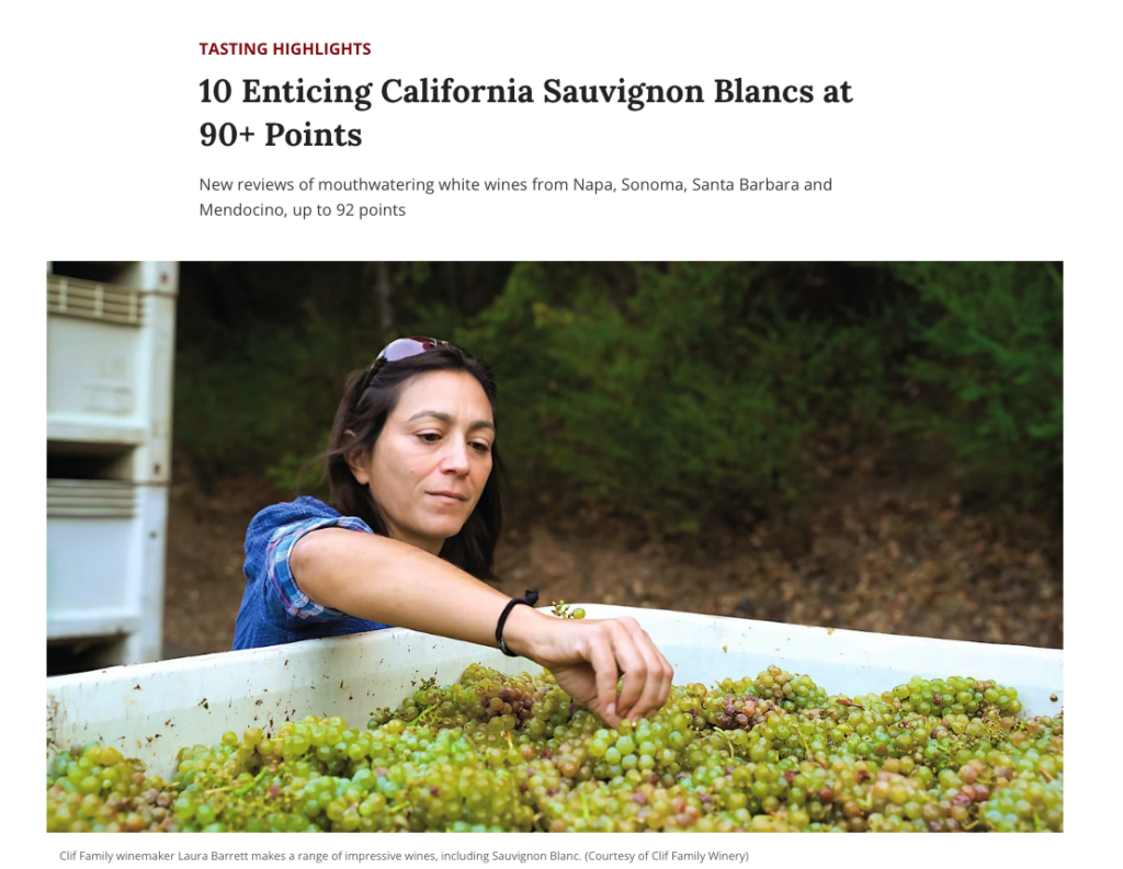 Winemaker pulling a cluster of white wine grapes from a bin.