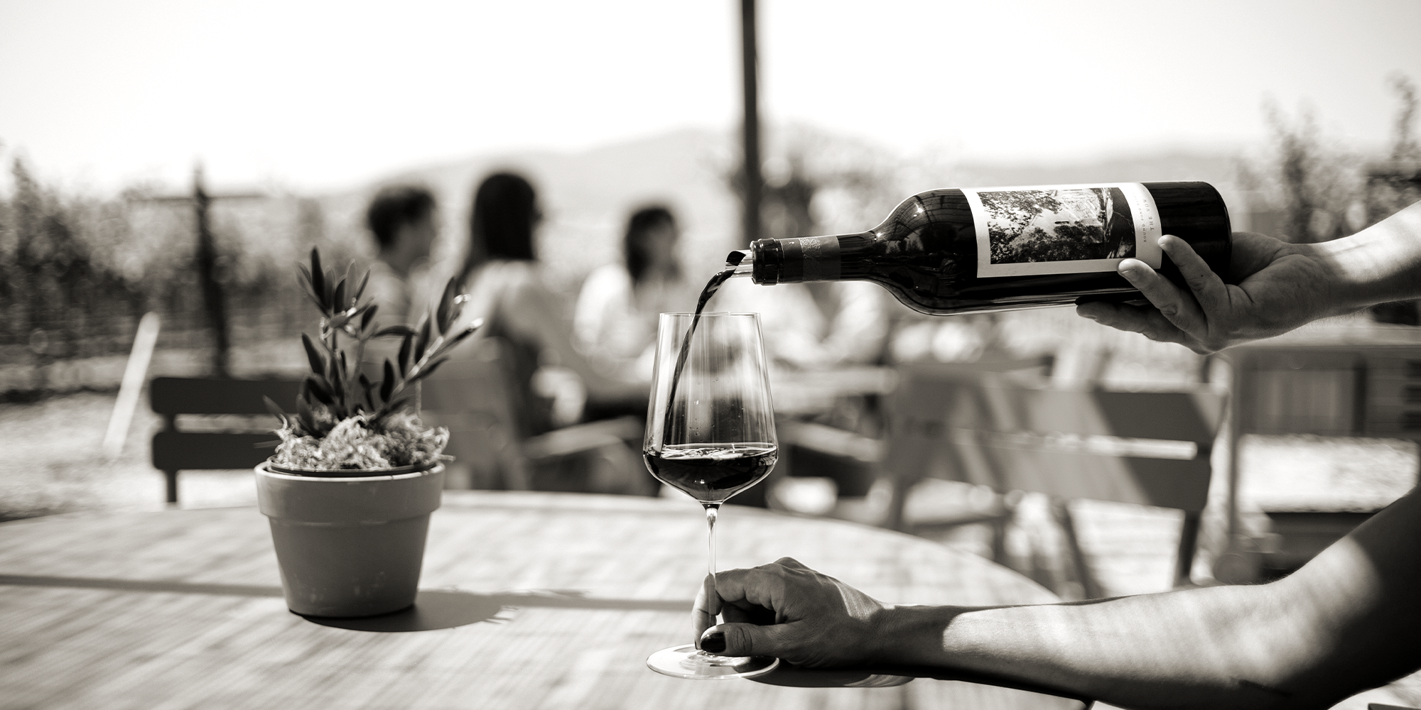 Gravel Tasting The Vow being poured into a wine glass at Round Pond Estate