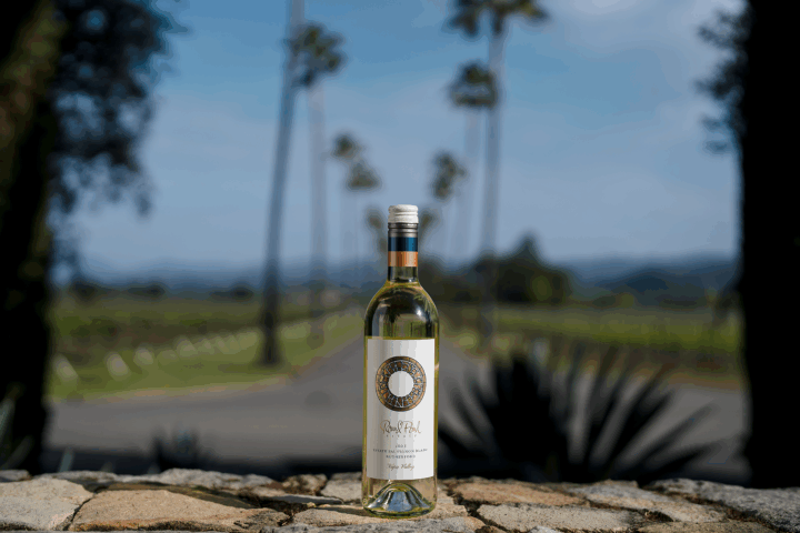Bottle of Sauvignon Blanc staged in front of Round Pond's Palm Drive