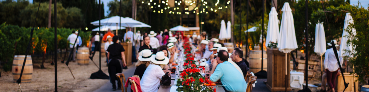 Guests gathered at long dining table on driveway during dusk.