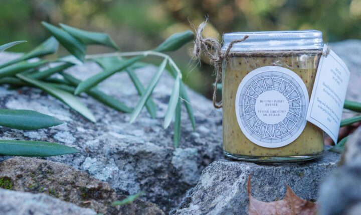 MustardWordPress-Recipe