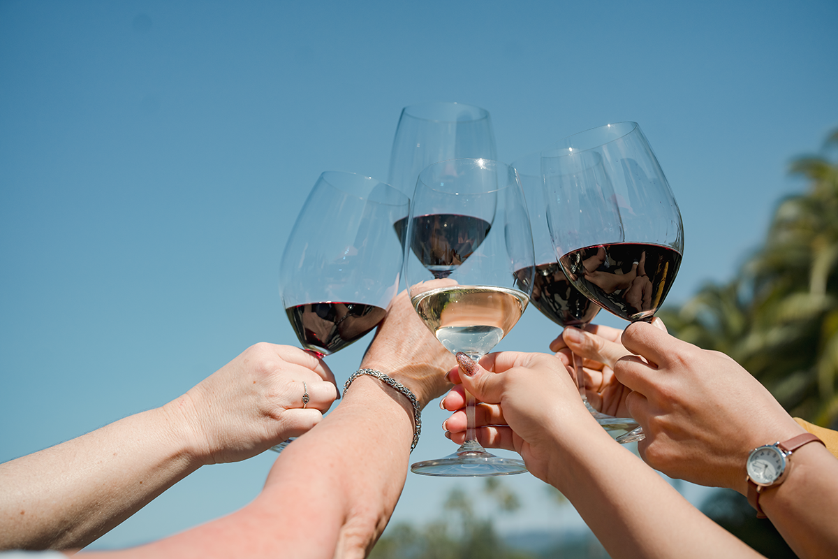 Group of people clinking glasses of red and white wine outdoors under a clear blue sky.