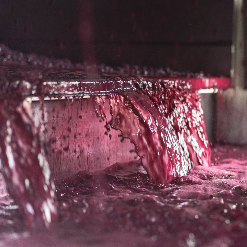 Close-up of red wine flowing from a spout into a container.