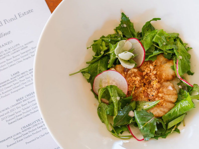 Seared scallops served with arugula salad, radish slices, and lemon beurre blanc sauce on a white plate.