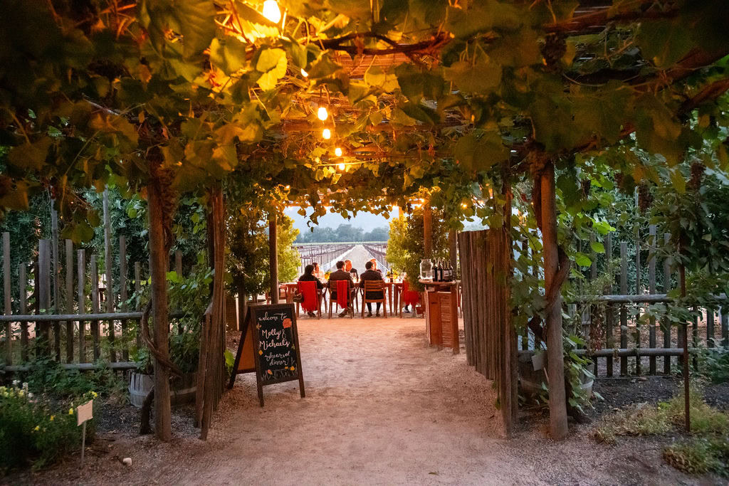 Alfresco dining area at Round Pond Estate with string lights, surrounded by lush greenery, perfect for private and large grou.